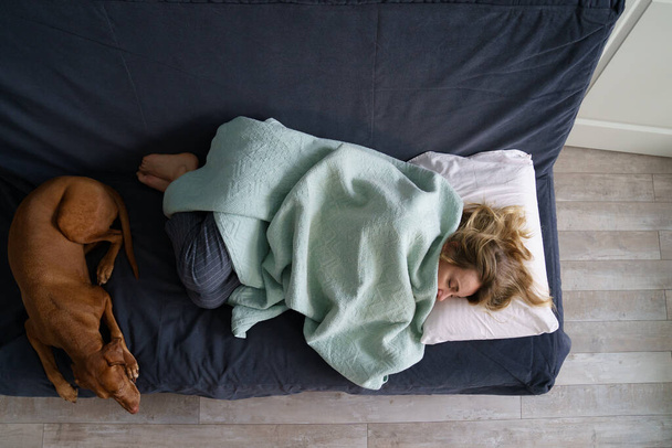 Zmęczona kobieta śpi na kanapie obok pocieszającego psa, widok z góry. Samotna lub rozwiedziona kobieta cierpi na depresję - Zdjęcie, obraz