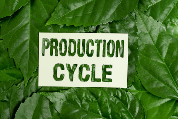 Text showing inspiration Production Cycle. Word Written on conversion of raw materials into finished goods activities Nature Conservation Ideas, New Environmental Preservation Plans - Photo, Image