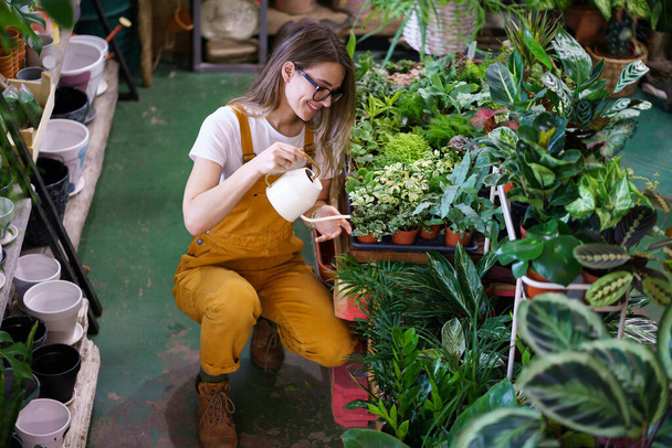 Genç bahçıvan kız su saksısı bitkilerinde çalışıyor. Ev bitkileriyle ilgilenen kadın çiçekçi. - Fotoğraf, Görsel