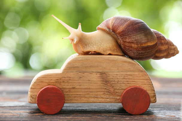 Snail on wooden car outdoors - Zdjęcie, obraz