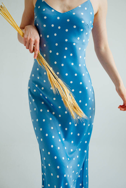 cropped view of beautiful stylish girl in blue polka dot dress holding spikelets of wheat and posing in studio - Photo, Image