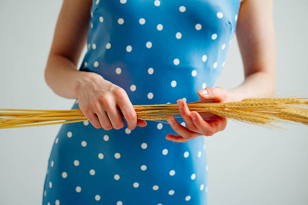 vista cortada de menina elegante bonita em azul polka dot vestido segurando espiguetas de trigo e posando em estúdio - Foto, Imagem