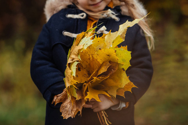 portret cute toddle dziewcząt jesienią strój z liści klonu w rękach - Zdjęcie, obraz