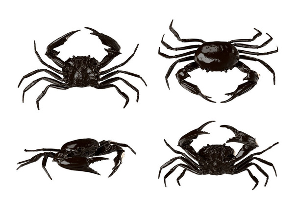 Crabes isolés sur fond blanc. Illustration 3D - Photo, image
