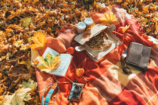 deken met boek en oude retro camera op de grond in de herfst openbaar park. kopieerruimte - Foto, afbeelding