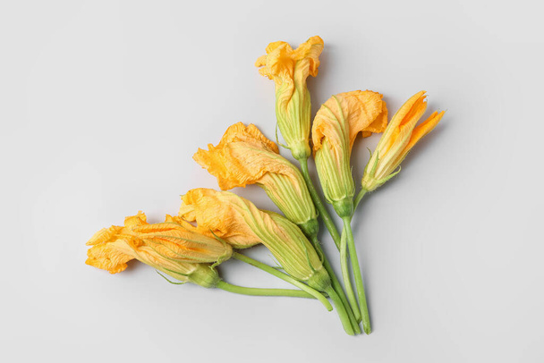 Flowers of zucchini on light background - Фото, изображение