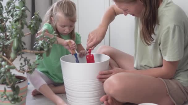 Una madre y una hija pequeña trasplantan una flor de la casa de una olla pequeña en una casa grande - Metraje, vídeo