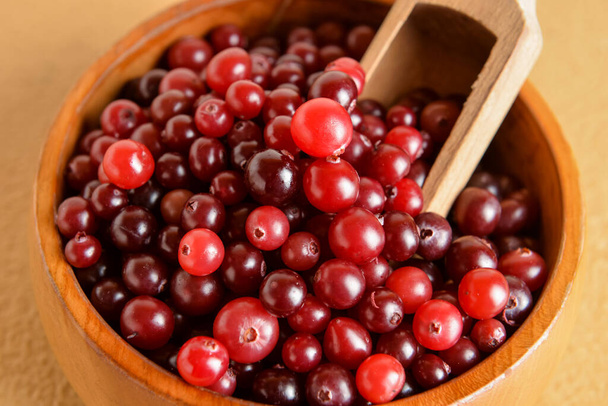Tigela e colher com cranberries saudáveis no fundo de cor - Foto, Imagem