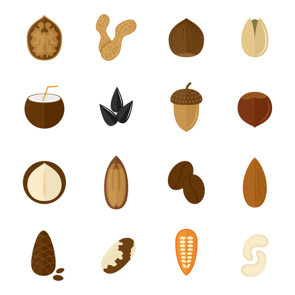 Conjunto de iconos de frutos secos
 - Vector, Imagen