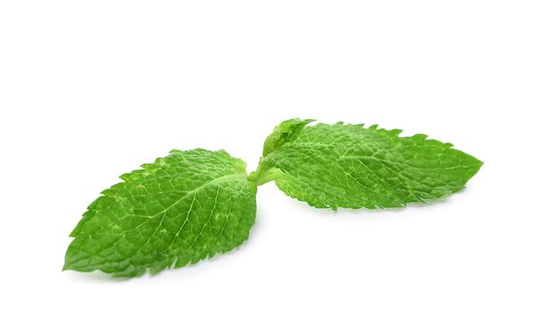 Erfrischende grüne Minzblätter auf weißem Hintergrund - Foto, Bild