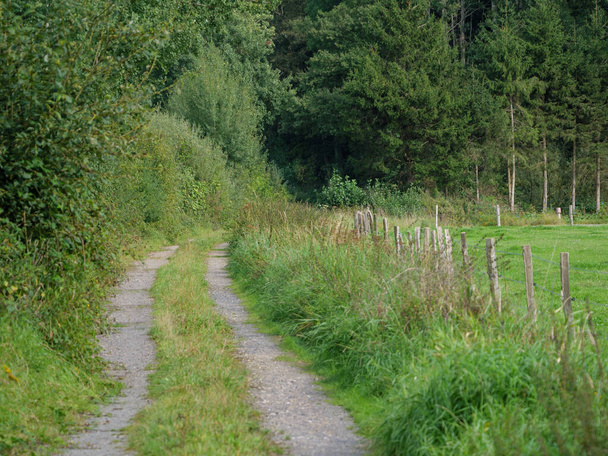 path in westphalia at summer time - Zdjęcie, obraz
