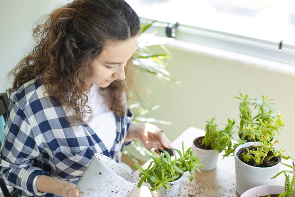 Giovane casalinga con fiore in vaso e giardinaggio. Piantare le piante della casa all'interno. - Foto, immagini