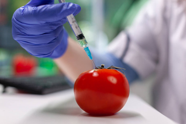 Closeup of scientist biologist hands injecting organic tomato with pesticides - Foto, Imagem