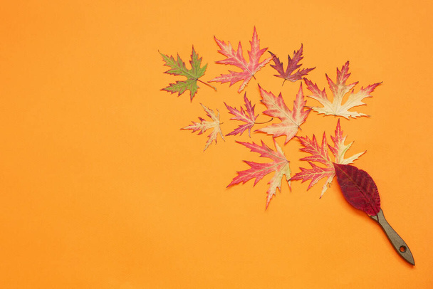 Autumn template multi colored maple leaves on orange background. - Foto, immagini