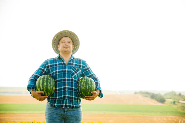 satisfied farmer with two watermelons in the field on a sunny summer day. - Фото, зображення