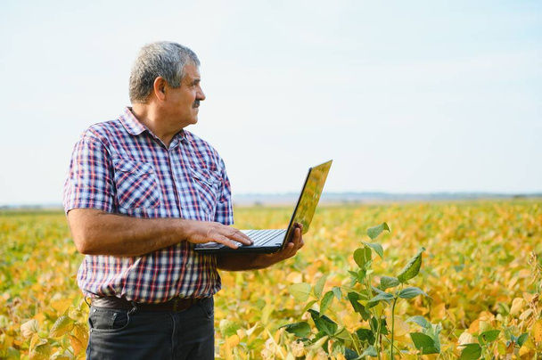 Portrait of senior hardworking farmer agronomist standing in soybean field checking crops before harvest. Organic food production and cultivation. - Foto, imagen