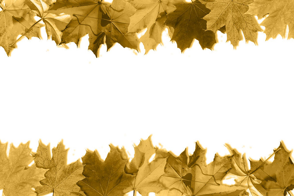 Autumn composition. Pattern made of autumn golden leaves on white background. Flat lay, top view, copy space - Photo, Image