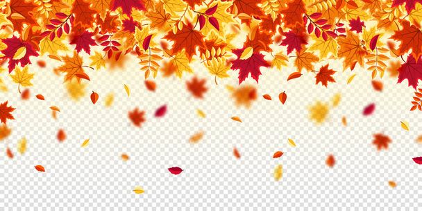 Hojas de otoño cayendo. Fondo natural con follaje rojo, naranja, amarillo. Hoja voladora. Venta de temporada. Ilustración vectorial. - Vector, Imagen