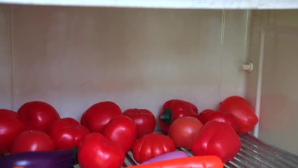 Verdure e frutta di plastica giocattolo sono sullo scaffale del vecchio frigorifero. Il concetto di gioco educativo per bambini. Filmati FullHD di alta qualità - Filmati, video