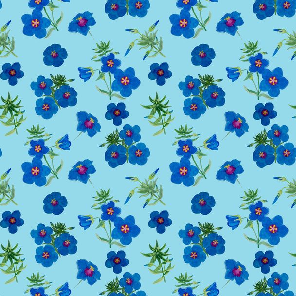 Watercolor drawing of garden pimpernel flower blossom on blue color background, blue petals flowering plant illustration seamless repeated pattern or fashion fabric textiles and paper wrapping - Foto, Imagem