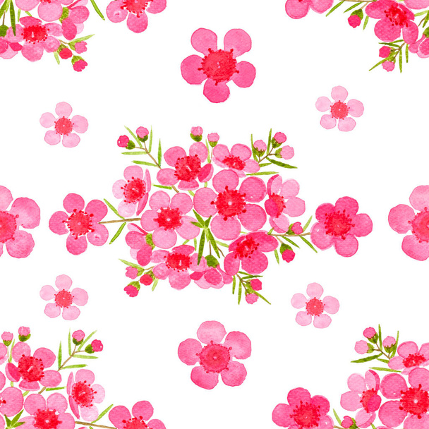 Pink petals of Wax flower blossom seamless pattern illustration, watercolor flora painting isolated on white background - Foto, imagen