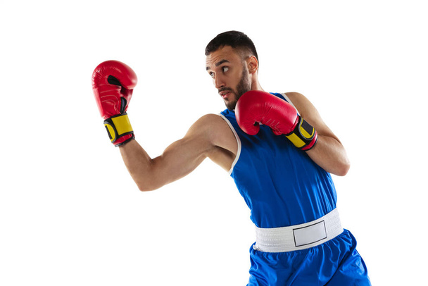 Portrait of one professional boxer in blue uniform training isolated over white background - Foto, Imagem