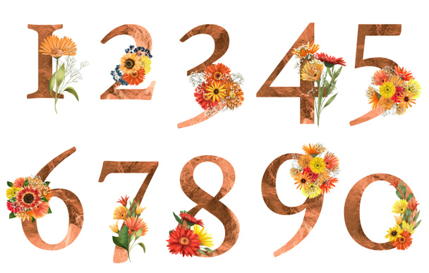 Set of floral numbers with autumn flowers (asters and gerber daisies), isolated illustration on white background, for wedding monogram, greeting cards, logo - Foto, Imagem