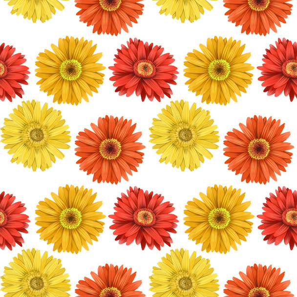 Červené a žluté astry a gerber květy bezešvé vzor, izolované květiny na bílém pozadí - Fotografie, Obrázek