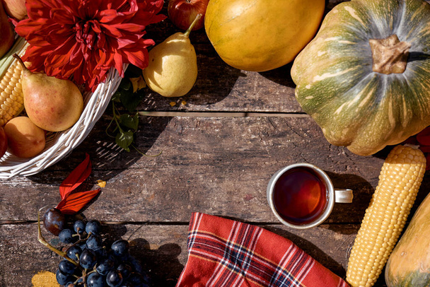 Acogedor otoño naturaleza muerta rústica: taza de té, frutas, verduras con sombras modernas. Día de Acción de Gracias concepto con lugar para el texto. Otoño acogedor estética, flor de georgina - Foto, imagen