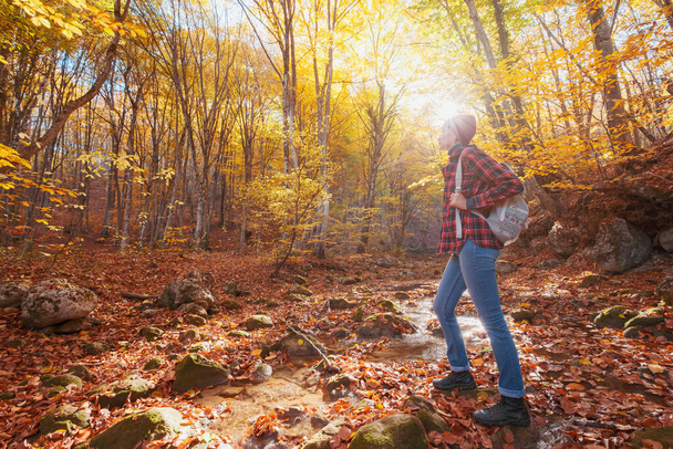 Žena turistika při pohledu na malebný pohled na podzimní listí krajiny. - Fotografie, Obrázek