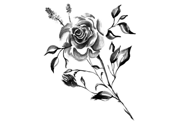Rose disegnate a mano ad acquerello su sfondo bianco. - Foto, immagini