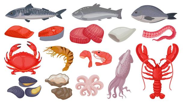 Cartoon raw seafood, fish, fresh salmon, lobster and squid. Ocean shrimp, tuna steak, shellfish and octopus tentacle. Marine food vector set - Vettoriali, immagini