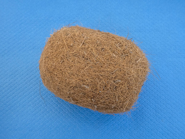 海の雑草の繊維の詳細のegagropylsボール - 写真・画像