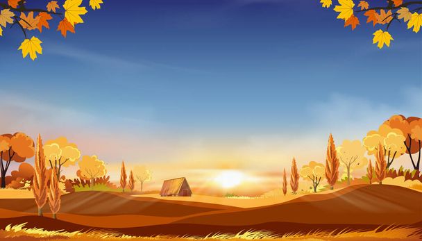 Jesienny krajobraz wiejski w wieczornym świetle z zachodem słońca, niebiesko-pomarańczowe tło nieba, Vector Cartoon jesień sezon na wsi z drzewa leśnego i trawy pola ze wschodem słońca, tło naturalny sztandar  - Wektor, obraz