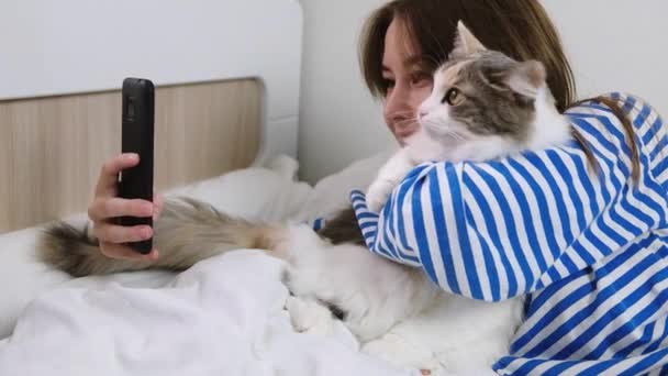 Lächelnde junge Millennial-Frau beim Selfie mit Katze auf Smartphone zu Hause im Bett. Social-Media-Influencer beim Fotografieren mit Freund. Spaß mit Haustieren. Menschen, Technik und Tiere. - Filmmaterial, Video