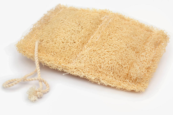 Natural scrubber of dried Ridge gourd over white background - Photo, Image