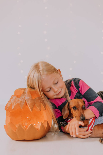 Szőke lány narancsszínű zokniban és csíkos dzsekiben egy törpe tacskóval, kutyaruhában a kezén a fapadlón egy nagy halloweeni töklámpa mellett. Kiváló minőségű fénykép - Fotó, kép
