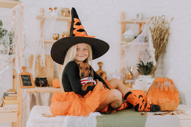 Ein blondes kleines Mädchen im Hexenkostüm mit riesigem Hexenhut und orangefarbenem Rock hält einen Zwergdackel auf ihrem Schoß. Halloween-Konzept. Raum für Text. Hochwertiges Foto - Foto, Bild