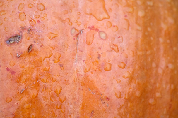 Surface of orange ripe pumpkin for Halloween background - Foto, Imagem