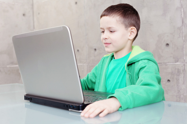 Schoolboy with laptop - Photo, Image