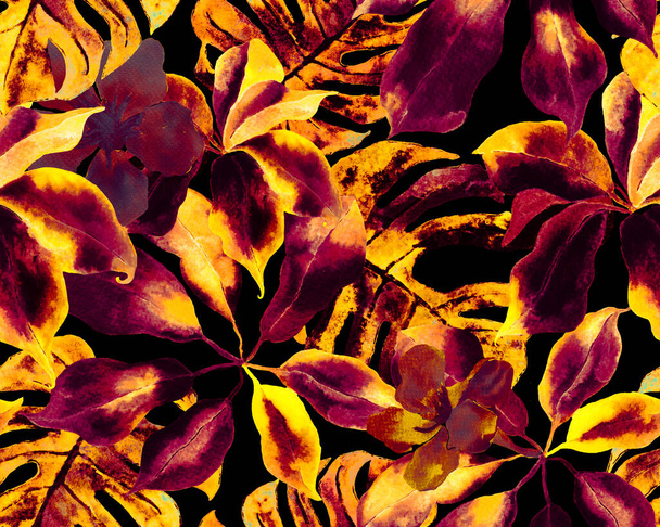 Schefflera Arboricola Nahtloses Muster. Immergrüne Walisongo-Pflanze mit exotischen Blüten. Botanischer Aquarelldruck. Schefflera Actinophylla Hayata Wiederholtes Ornament Gelb und Schwarz - Foto, Bild