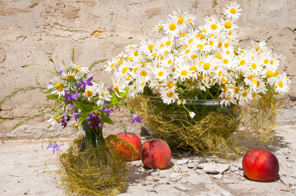 Still life bouquet of chamomiles - Photo, Image