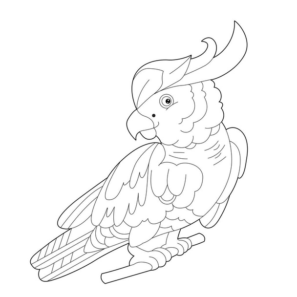 Contour linear illustration for coloring book with decorative parrot. Beautiful predatory  bird,  anti stress picture. Line art design for adult or kids  in zen-tangle style, tatoo and coloring page. - Vektor, Bild