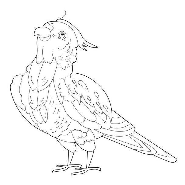 Contour linear illustration for coloring book with decorative parrot. Beautiful predatory  bird,  anti stress picture. Line art design for adult or kids  in zen-tangle style, tatoo and coloring page. - Vettoriali, immagini