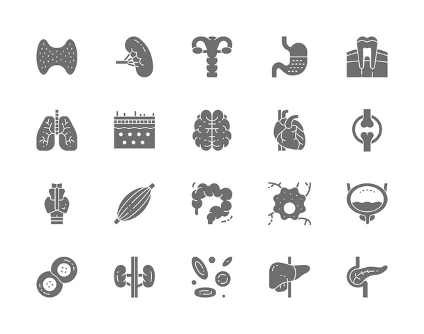 Set of Human Organs Grey Icons. Spleen, Stomach, Lungs, Brain, Heart and more. - Vector, Image
