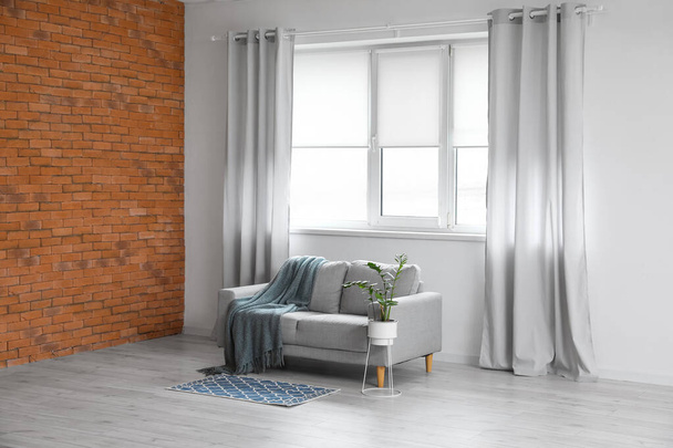 Moderni sohva ja huonekasvi lähellä ikkunaa valoisassa huoneessa - Valokuva, kuva