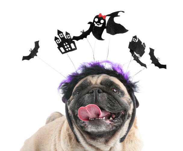 Beyaz arka planda Cadılar Bayramı dekoru olan sevimli pug dog. - Fotoğraf, Görsel