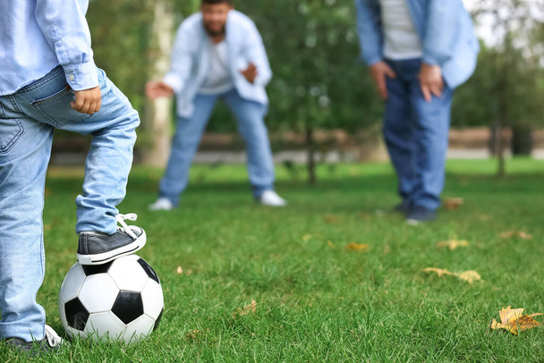 Чоловік, його маленький син і батько грають у футбол в парку. - Фото, зображення