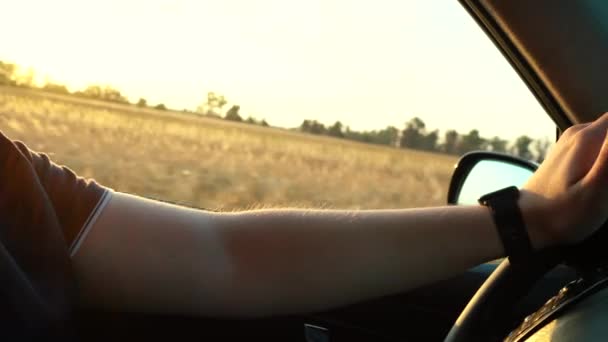un homme conduit une voiture à travers un champ avec du blé. vue depuis la voiture - Séquence, vidéo
