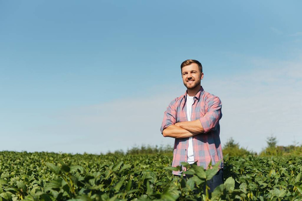 Young farmer in soybean fields - Valokuva, kuva